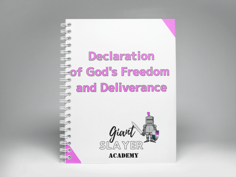 Decloration of God's Freedom and Deliverance Book