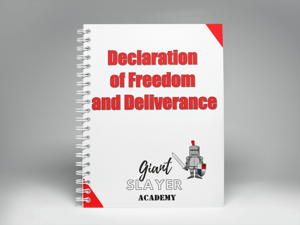 Decloration of God's Freedom and Deliverance Book